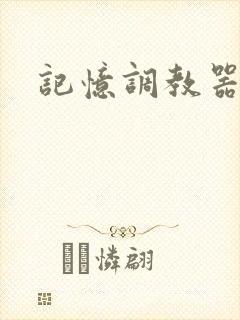 记忆调教器
