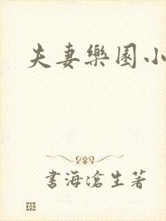 夫妻乐园小说