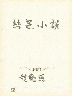 丝足小说