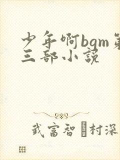 少年啊bgm第三部小说封面