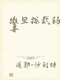 撒旦总裁的下堂妻