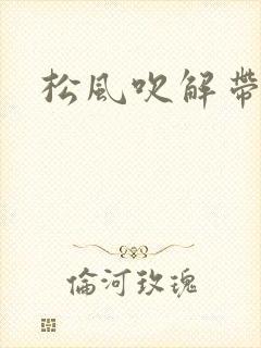 松风吹解带封面