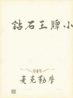 钻石王牌小说