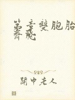 第章双胞胎姐妹齐飞
