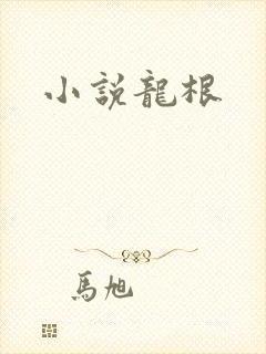 小说龙根