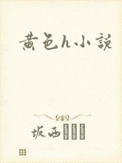 黄色h小说封面