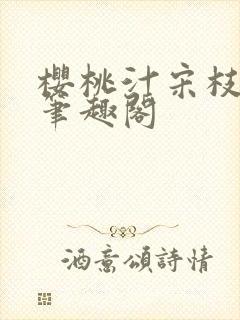 樱桃汁宋枝江野笔趣阁封面