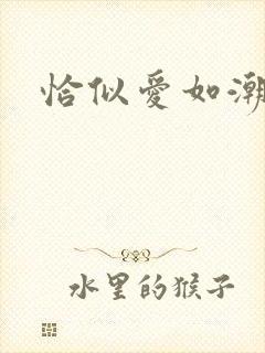 恰似爱如潮