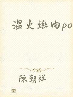 温火炖肉pop