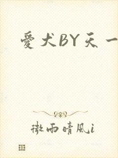 爱犬BY天一