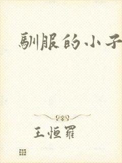 驯服的小子4封面