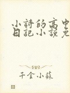 小诗的高中成长日记小说免费阅读