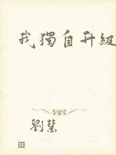 我独自升级2