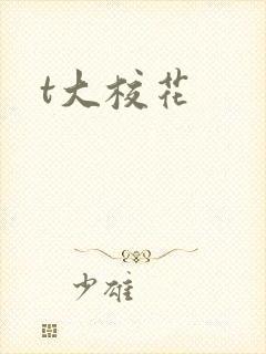 t大校花