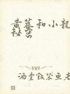 黄蓉和小龙女的秘密