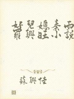 好儿媳秦雨罗明罗兴旺小说