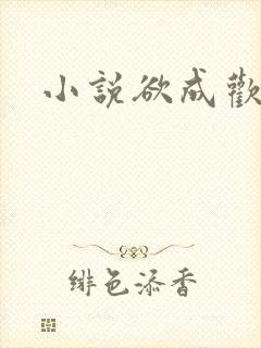 小说欲成欢