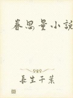 眷思量小说
