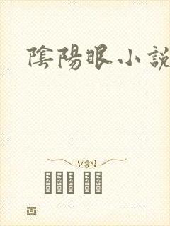 阴阳眼小说封面