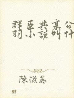群臣共享公主银羽小说叫什么