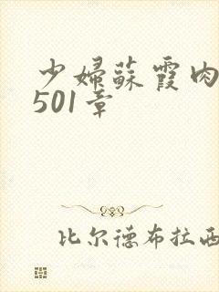 少妇苏霞肉欲第501章封面