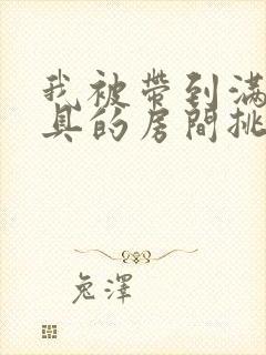 我被带到满是玩具的房间挑调作文