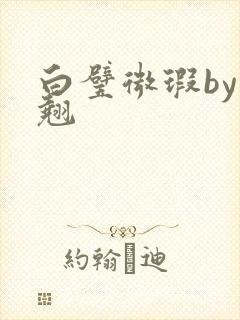 白璧微瑕by连翘