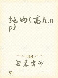纯肉(高h.np)