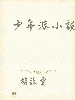 少年派小说