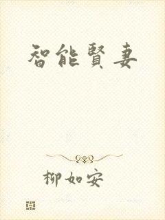 智能贤妻