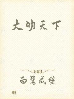 大明天下