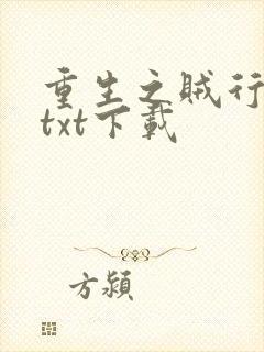 重生之贼行天下txt下载封面