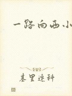 一路向西小说