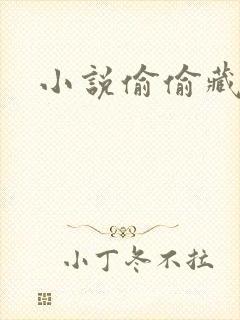 小说偷偷藏不住封面