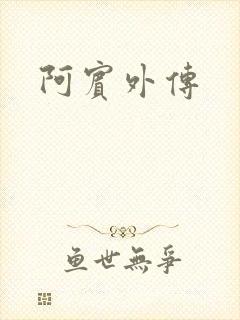 阿宾外传