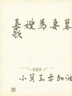 长嫂为妻暮色酒歌封面