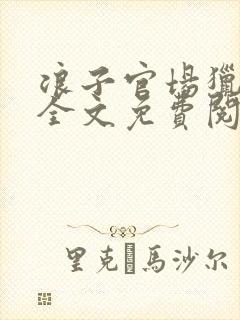 浪子官场猎艳记全文免费阅读