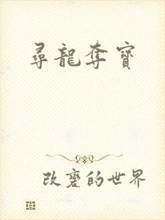 寻龙夺宝