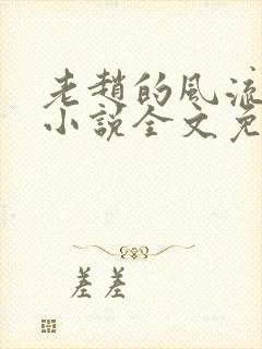 老赵的风流人生小说全文免费阅读