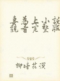 妻为上小说免费观看完整版笔趣阁