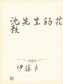 沈先生的花式管教