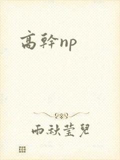 高干np