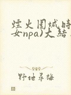 烟火围城时(父女npa)大结局