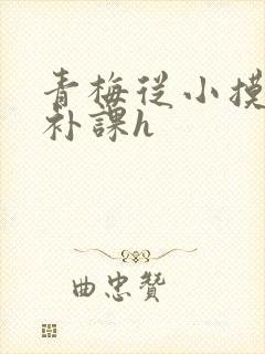 青梅从小摸到大补课h
