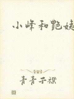 小峰和艳姨封面
