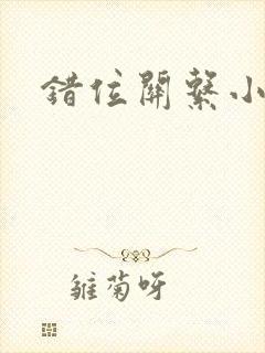 错位关系小说