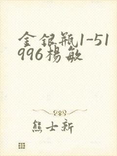 金银瓶1-51996杨敏封面