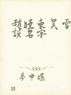 赵晓东吴雪晴小说名字