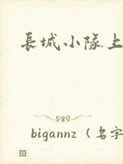 长城小队上中下