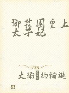 御花园皇上撞着太子妃